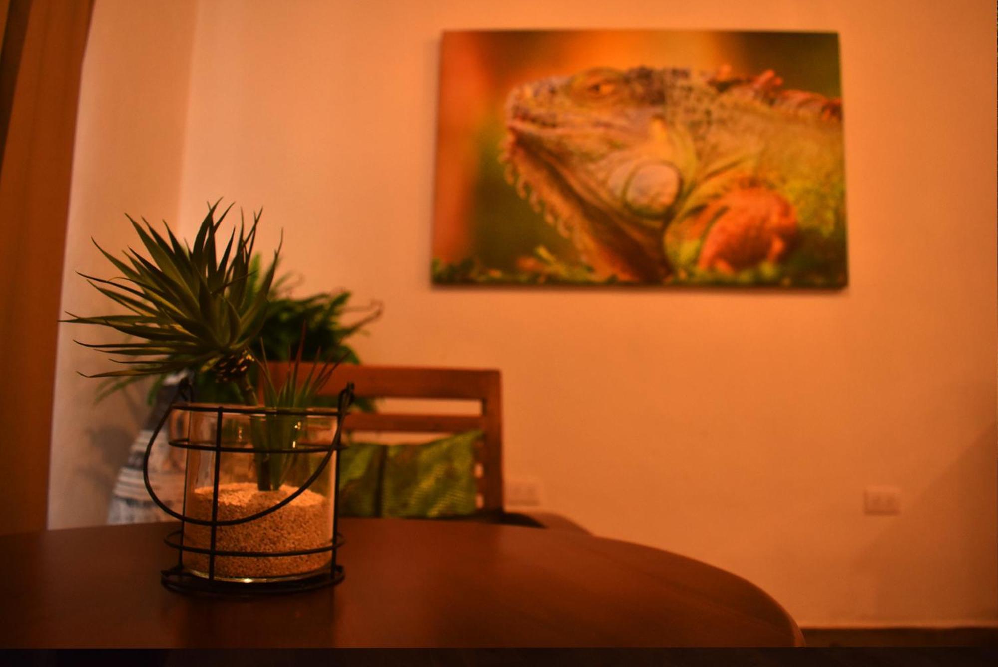 Villas Vallazoo Попола Экстерьер фото