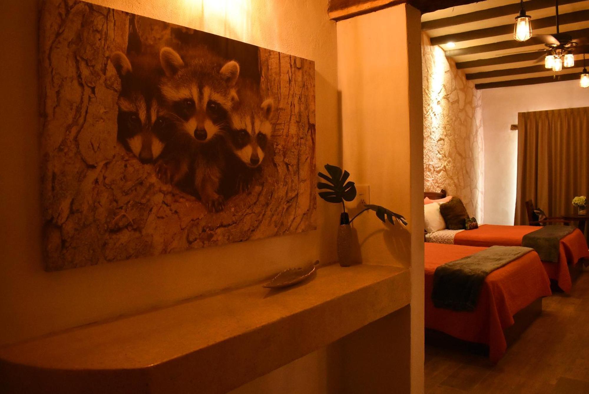 Villas Vallazoo Попола Экстерьер фото